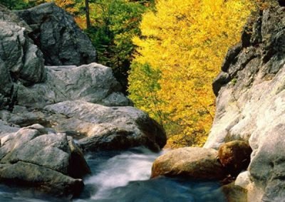 White Mountains Waterfall